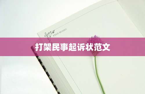 打架民事起诉状范文