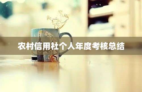 农村信用社个人年度考核总结