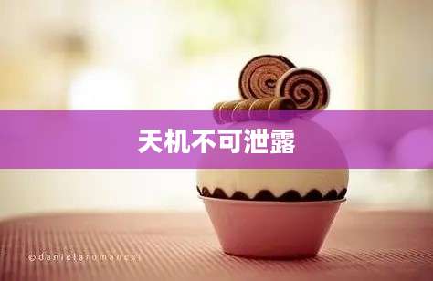 天机不可泄露