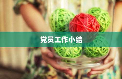 党员工作小结