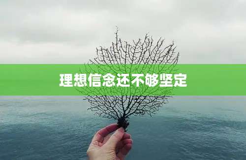 理想信念还不够坚定