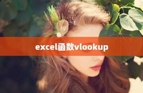 excel函数vlookup