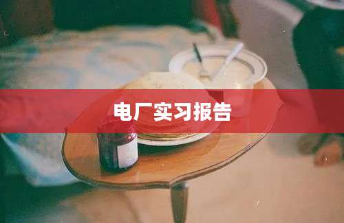电厂实习报告