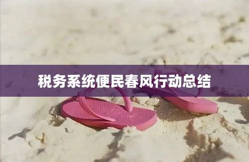 税务系统便民春风行动总结