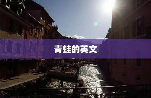 青蛙的英文