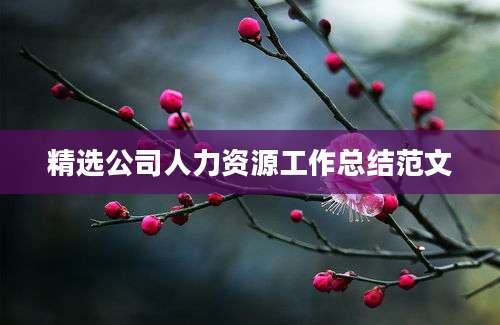 精选公司人力资源工作总结范文