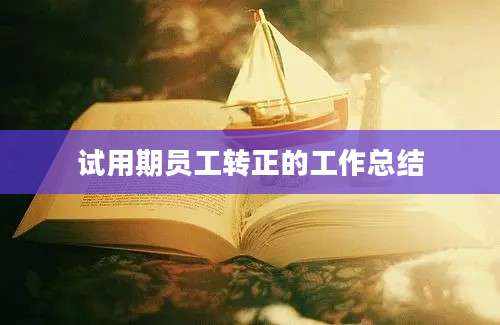 试用期员工转正的工作总结