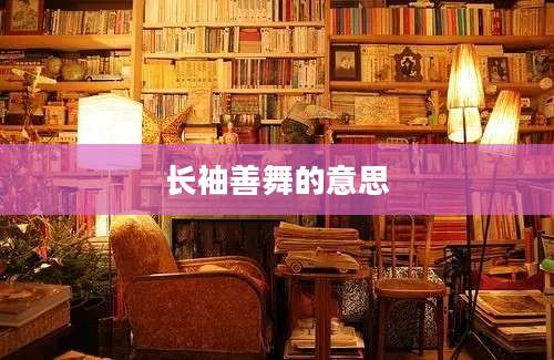 长袖善舞的意思