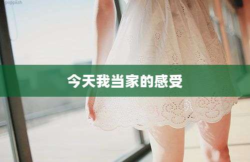 今天我当家的感受