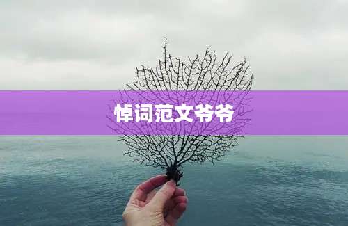 悼词范文爷爷