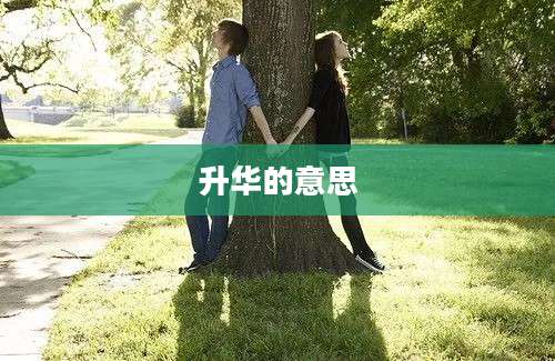 升华的意思