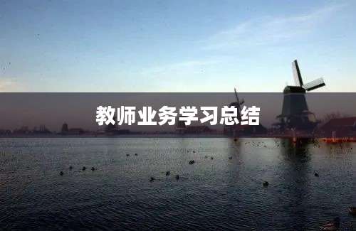 教师业务学习总结
