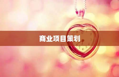 商业项目策划