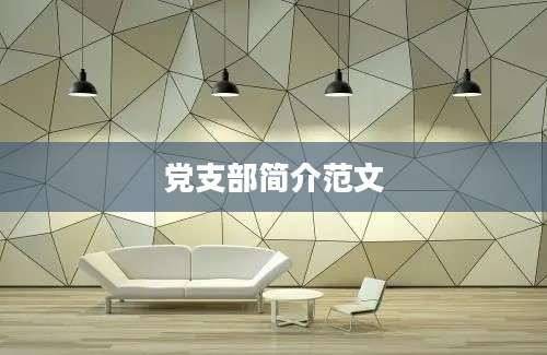 党支部简介范文