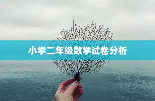 小学二年级数学试卷分析