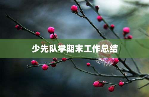 少先队学期末工作总结