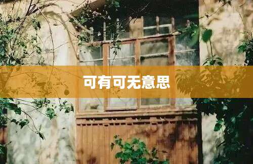 可有可无意思