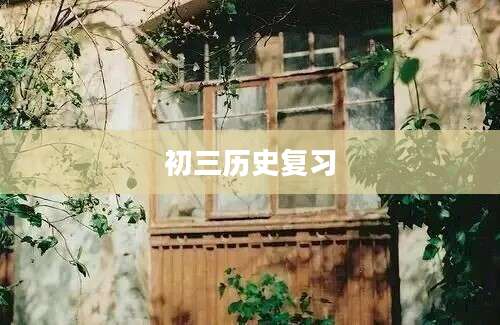 初三历史复习