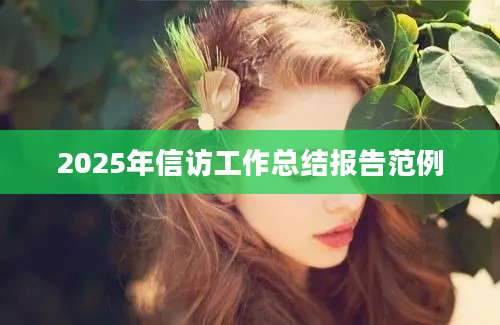 2025年信访工作总结报告范例