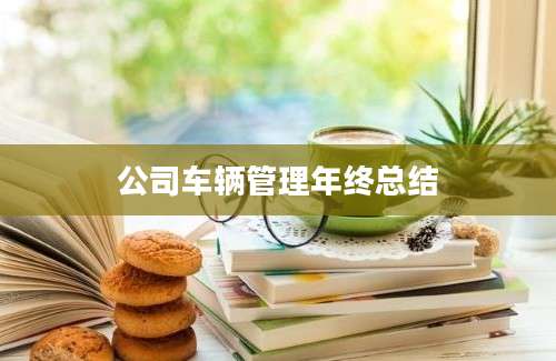 公司车辆管理年终总结