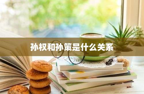 孙权和孙策是什么关系