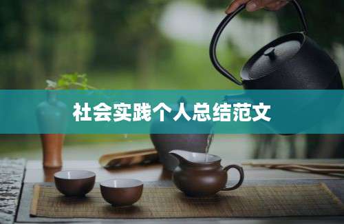 社会实践个人总结范文