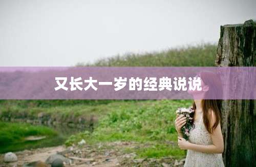 又长大一岁的经典说说