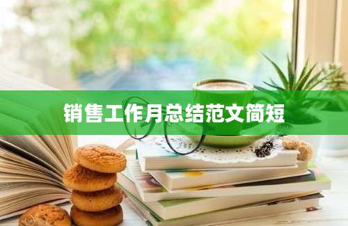 销售工作月总结范文简短