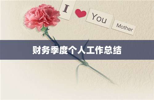 财务季度个人工作总结