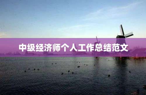 中级经济师个人工作总结范文