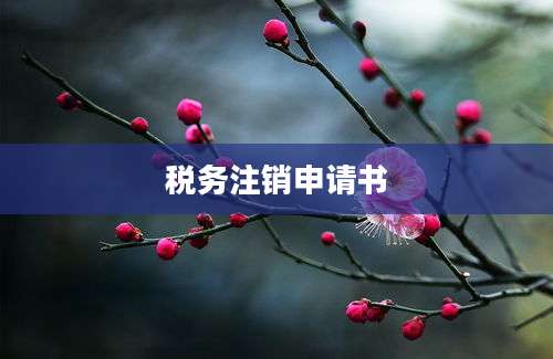 税务注销申请书