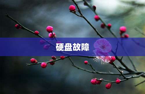 硬盘故障