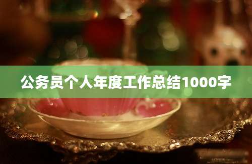 公务员个人年度工作总结1000字