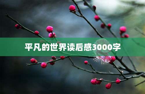 平凡的世界读后感3000字