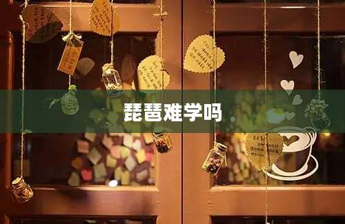 琵琶难学吗