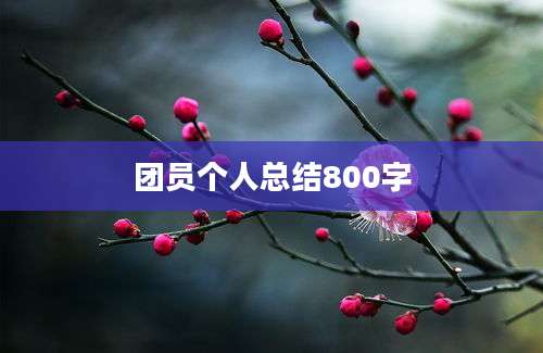 团员个人总结800字