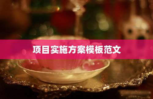 项目实施方案模板范文