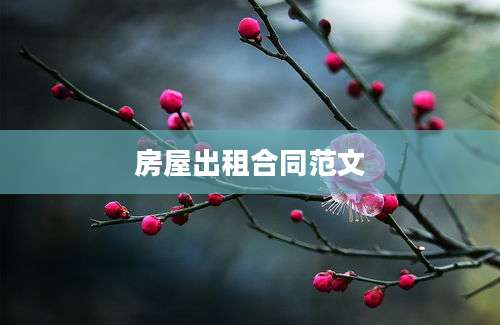 房屋出租合同范文