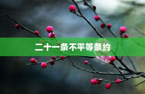 二十一条不平等条约