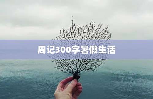 周记300字暑假生活