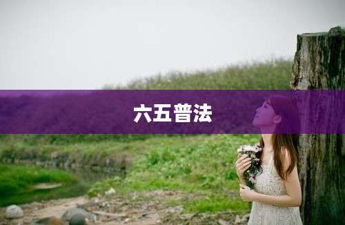 六五普法