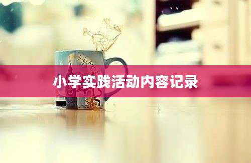 小学实践活动内容记录