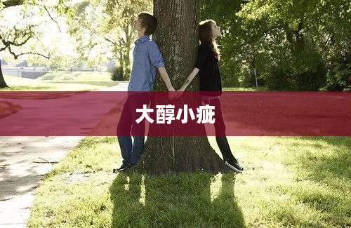 大醇小疵