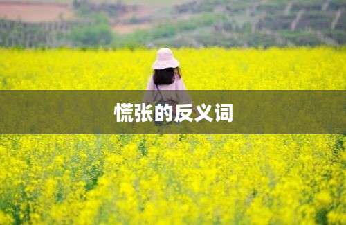 慌张的反义词