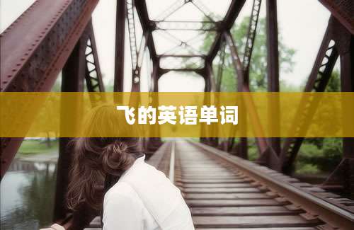 飞的英语单词