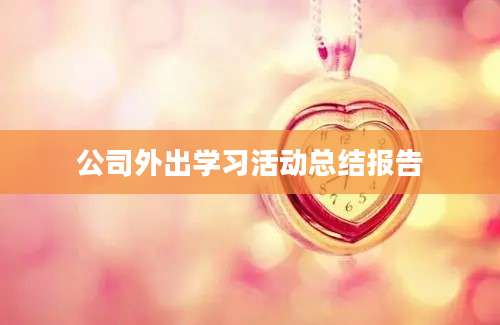公司外出学习活动总结报告