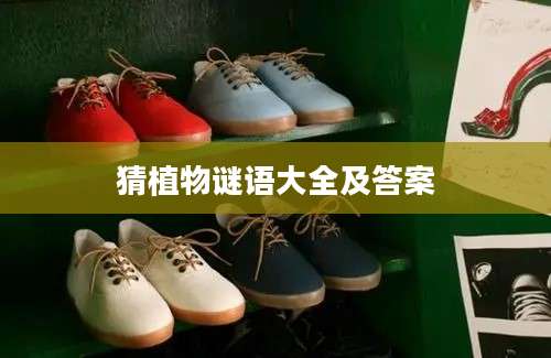 猜植物谜语大全及答案