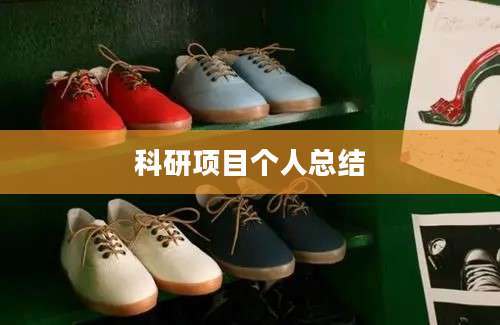 科研项目个人总结