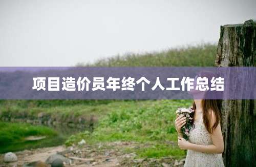 项目造价员年终个人工作总结