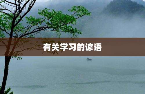 有关学习的谚语